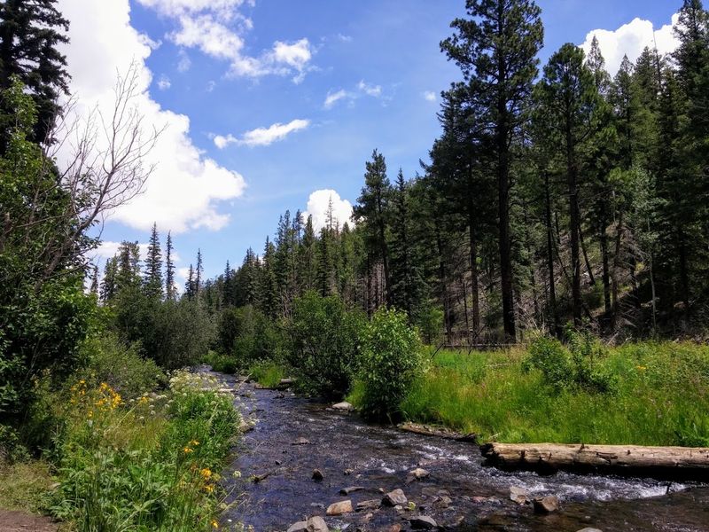 Hiking Through Apache-Sitgreaves National Forest