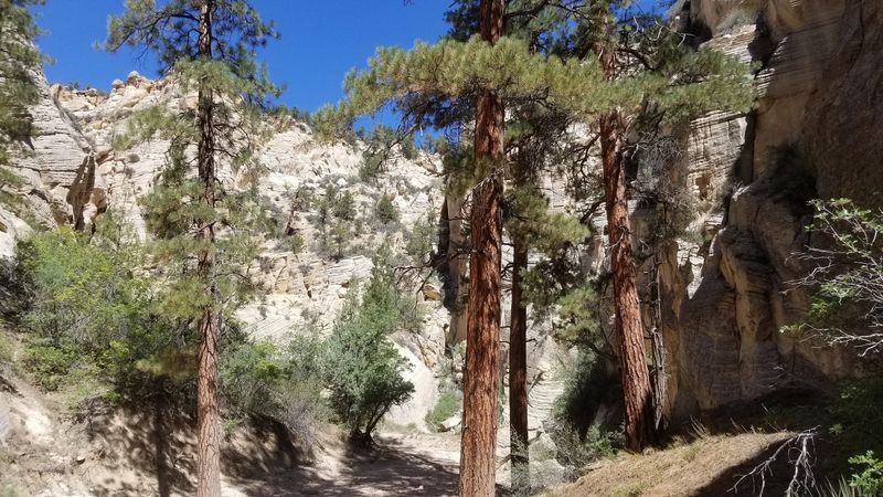 Lick Wash Trail, Kanab
