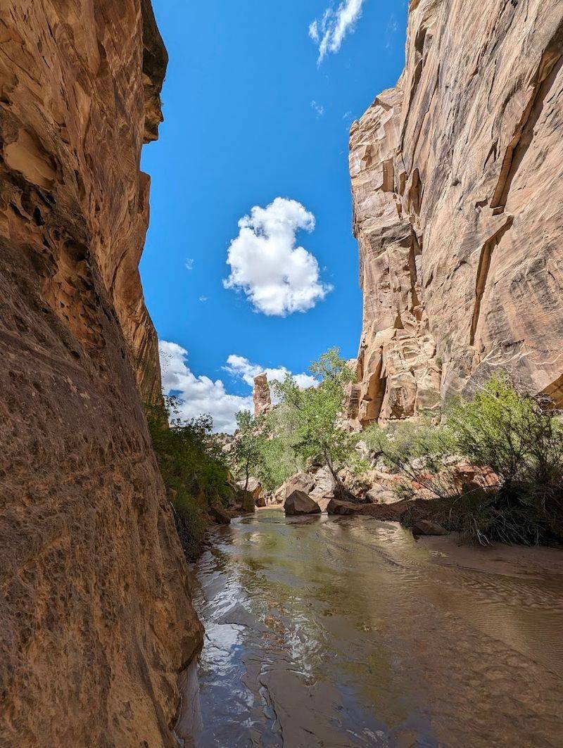 Lower Hackberry Canyon Trail, Kanab