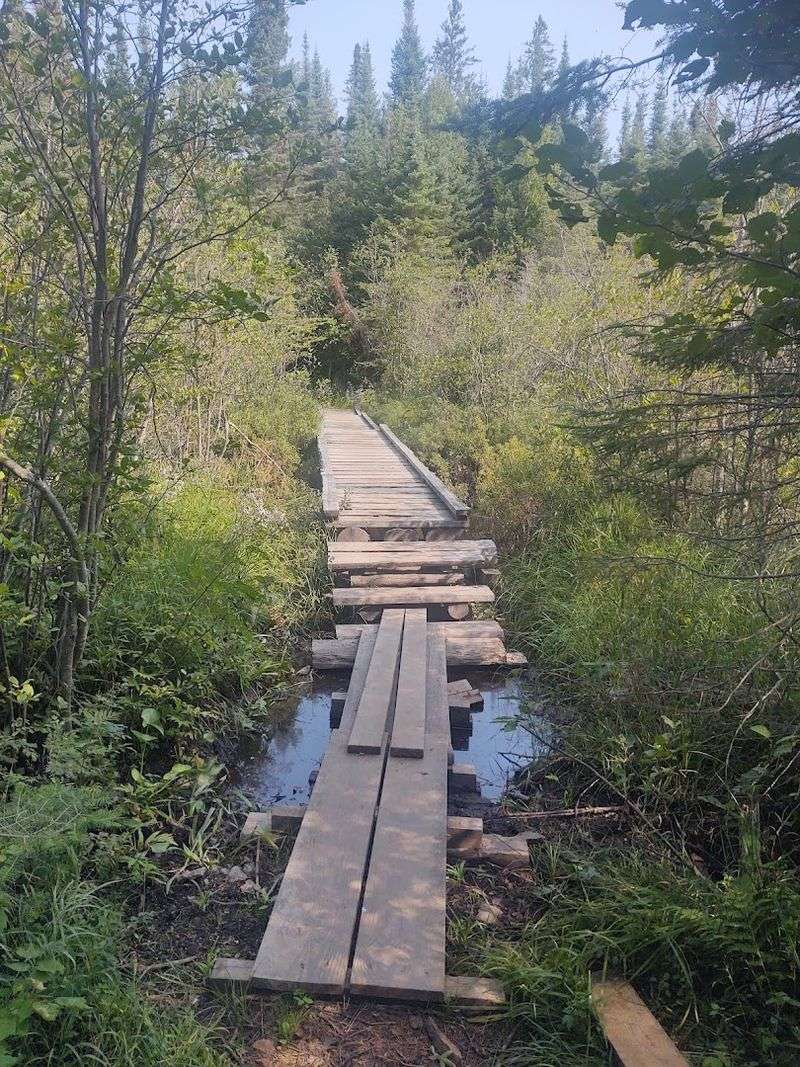 The Boardwalks That Add A Little Adventure