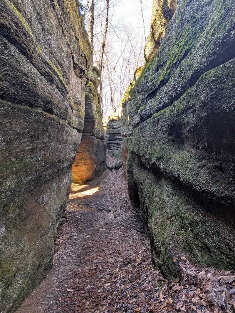 Nelson Kennedy Ledges State Park