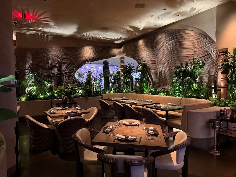 Amaya Modern Mexican