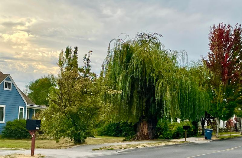 Fife, Washington Is Worth More Than A Glance