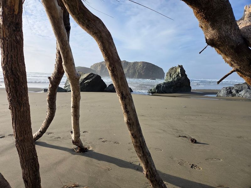 Bandon State Natural Area