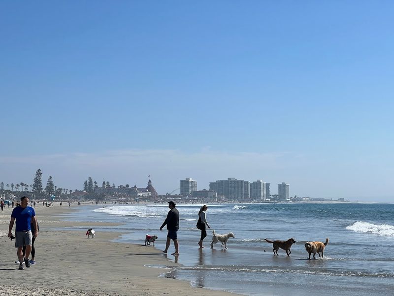 Coronado  Dog Beach