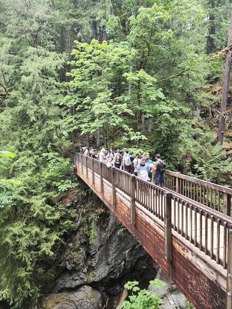 The Swinging Bridge Moment