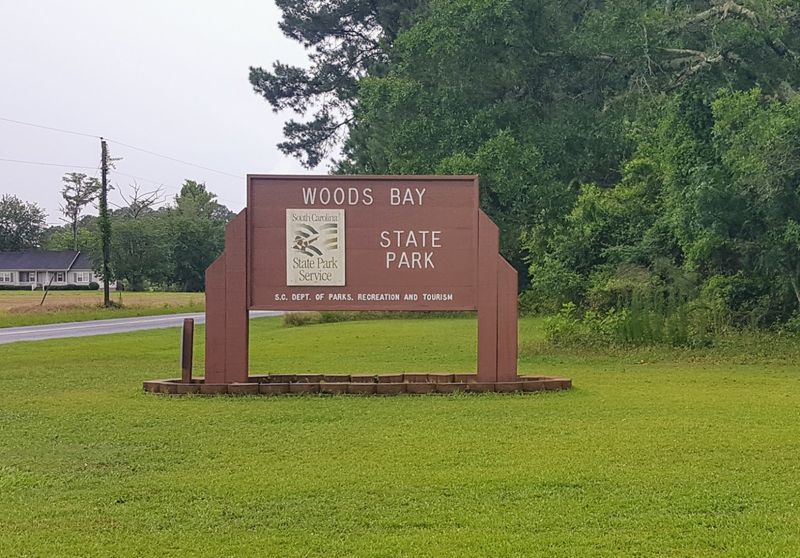 What Makes This Place So Rare