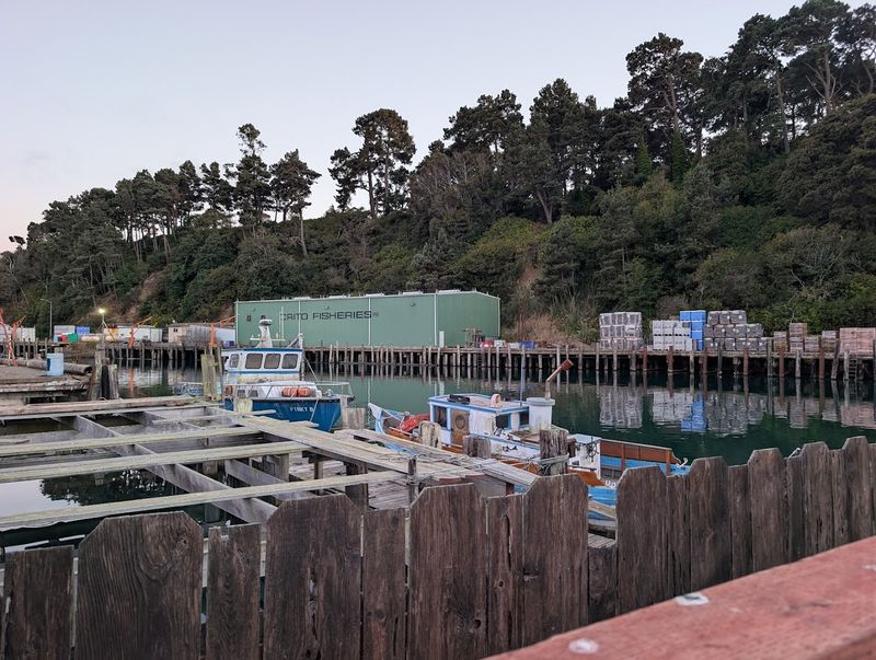 Best Time To Visit For Fresh Food