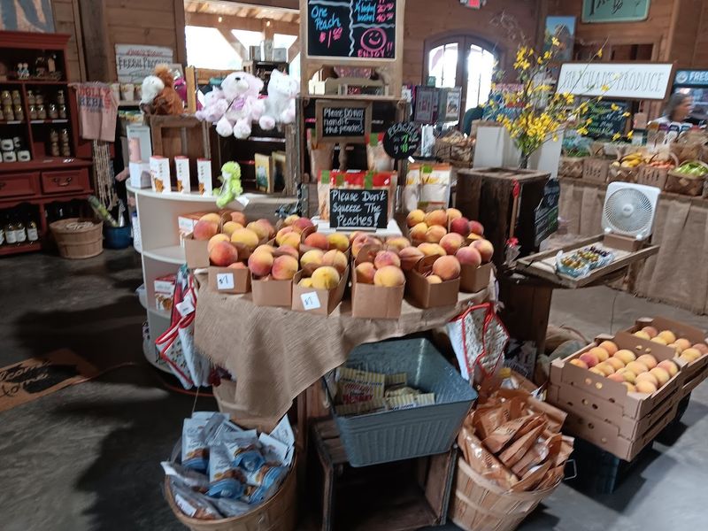 The Shed Farm Stand Experience