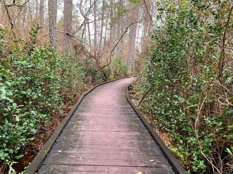 The Trails On Dry Land