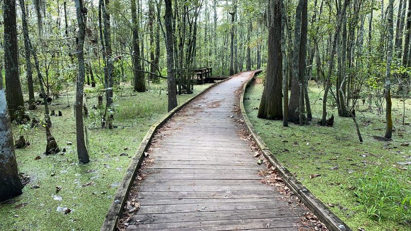 The Atmosphere That Makes This Place Unforgettable