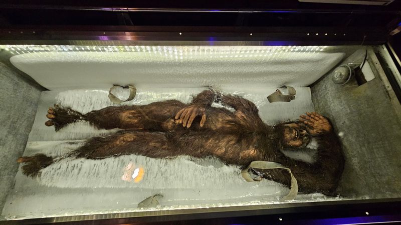 The Atmosphere And Overall Vibe