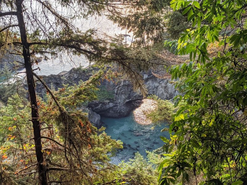 Wildlife And Nature Along The Trail