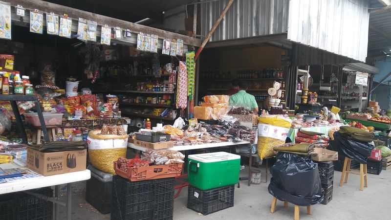 Pulga De Alamo (Mercadome) 