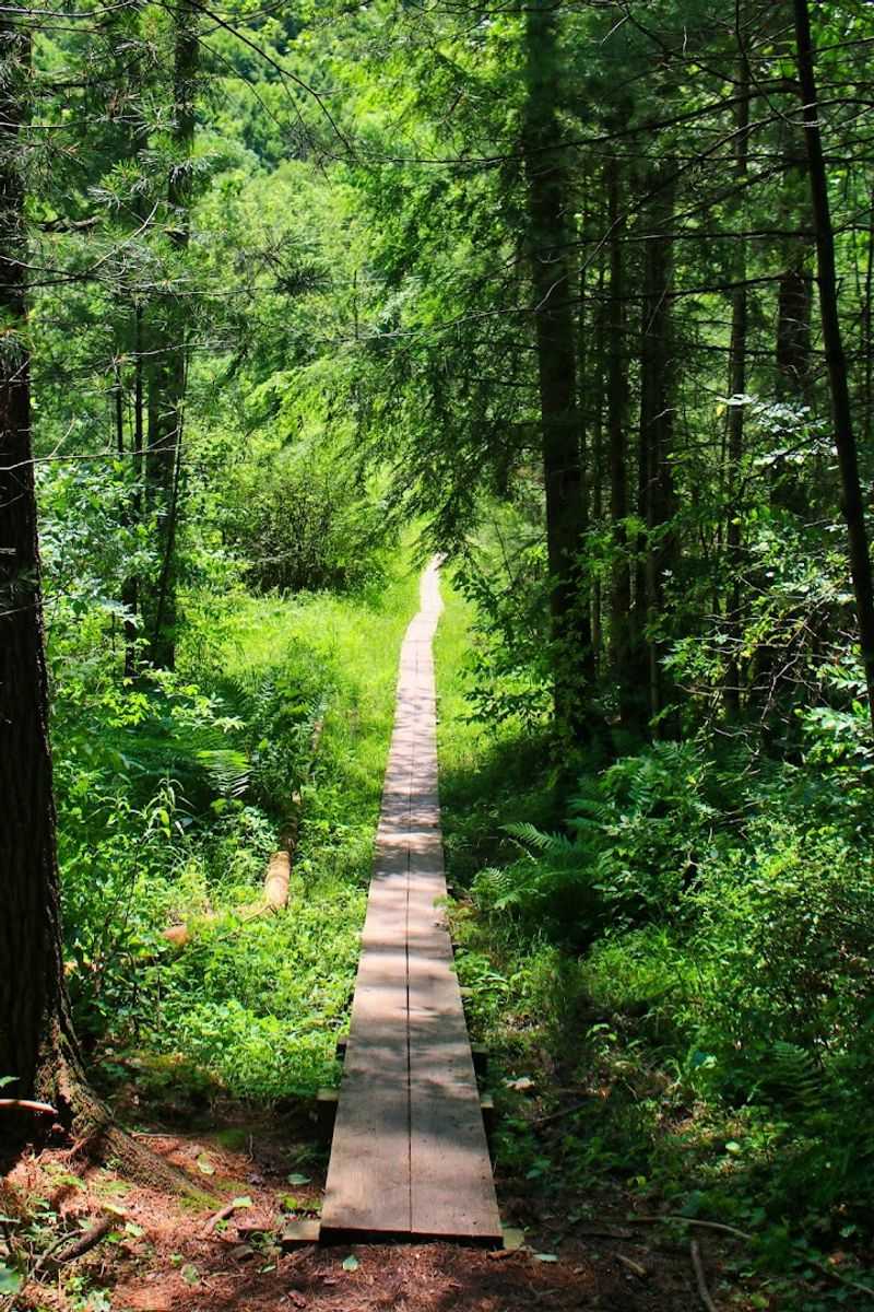 Why This Waterfall Deserves A Spot On Your Pennsylvania List