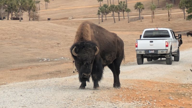 The Setting That Makes It All Feel Special