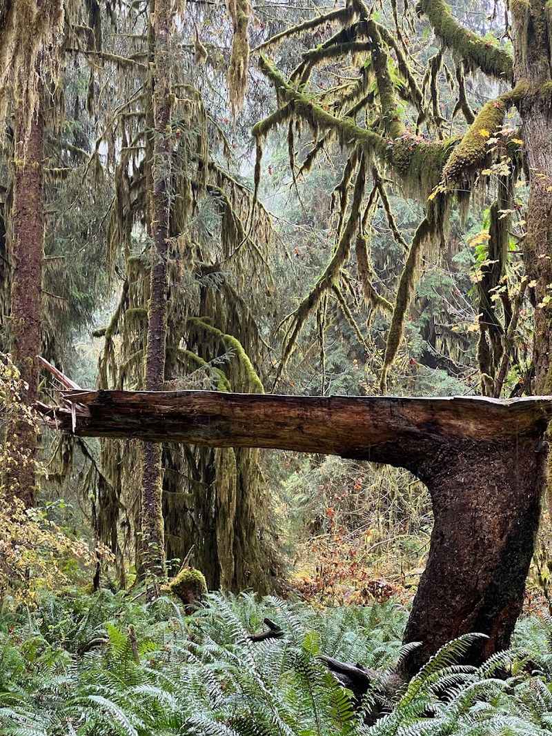 Why This Trail Stays With You Long After You Leave