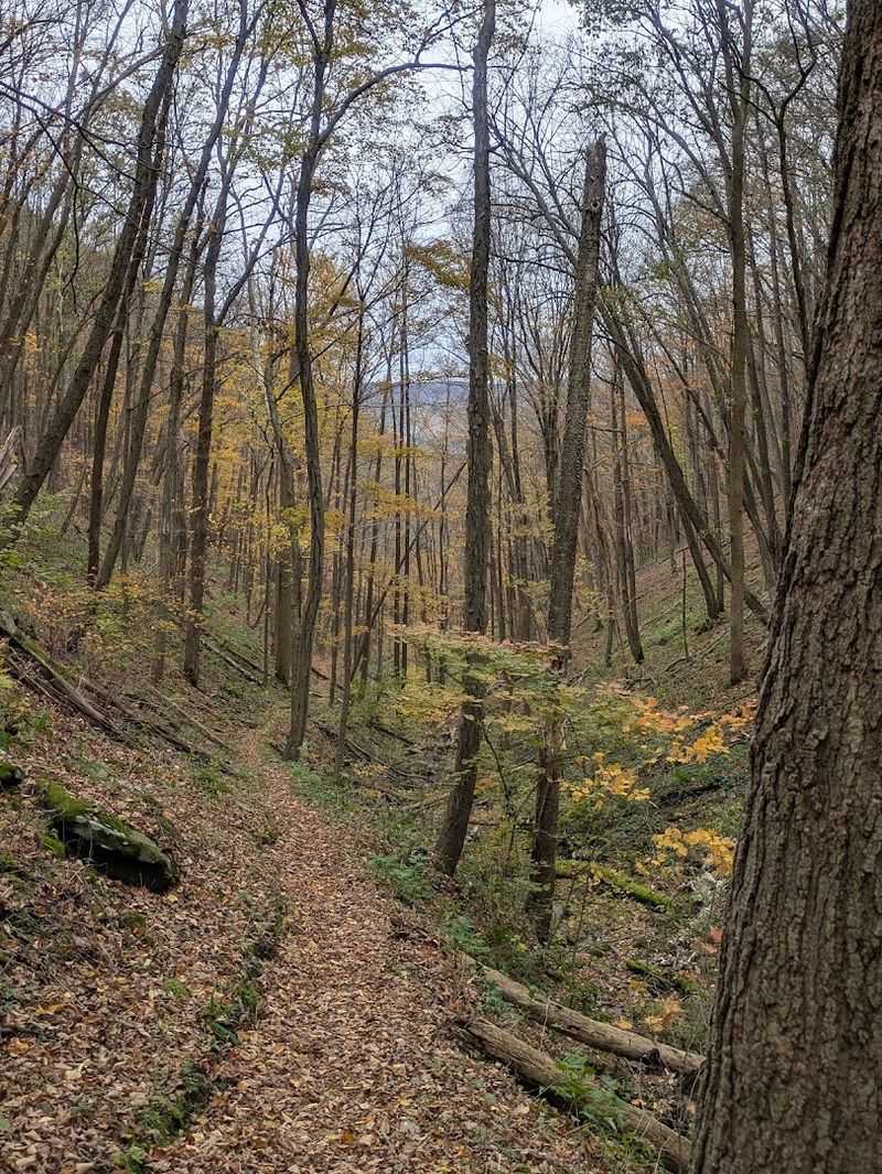 Trails For Those Who Want To Explore Further