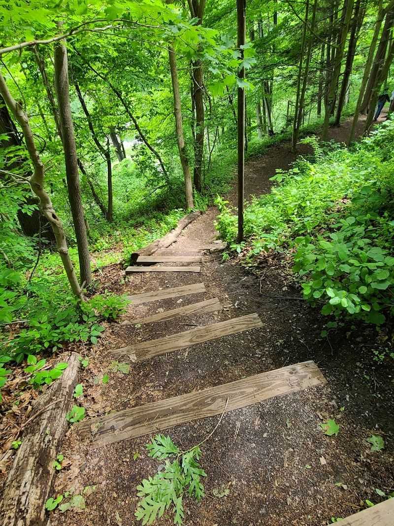 Hiking Options For Every Level Of Ambition