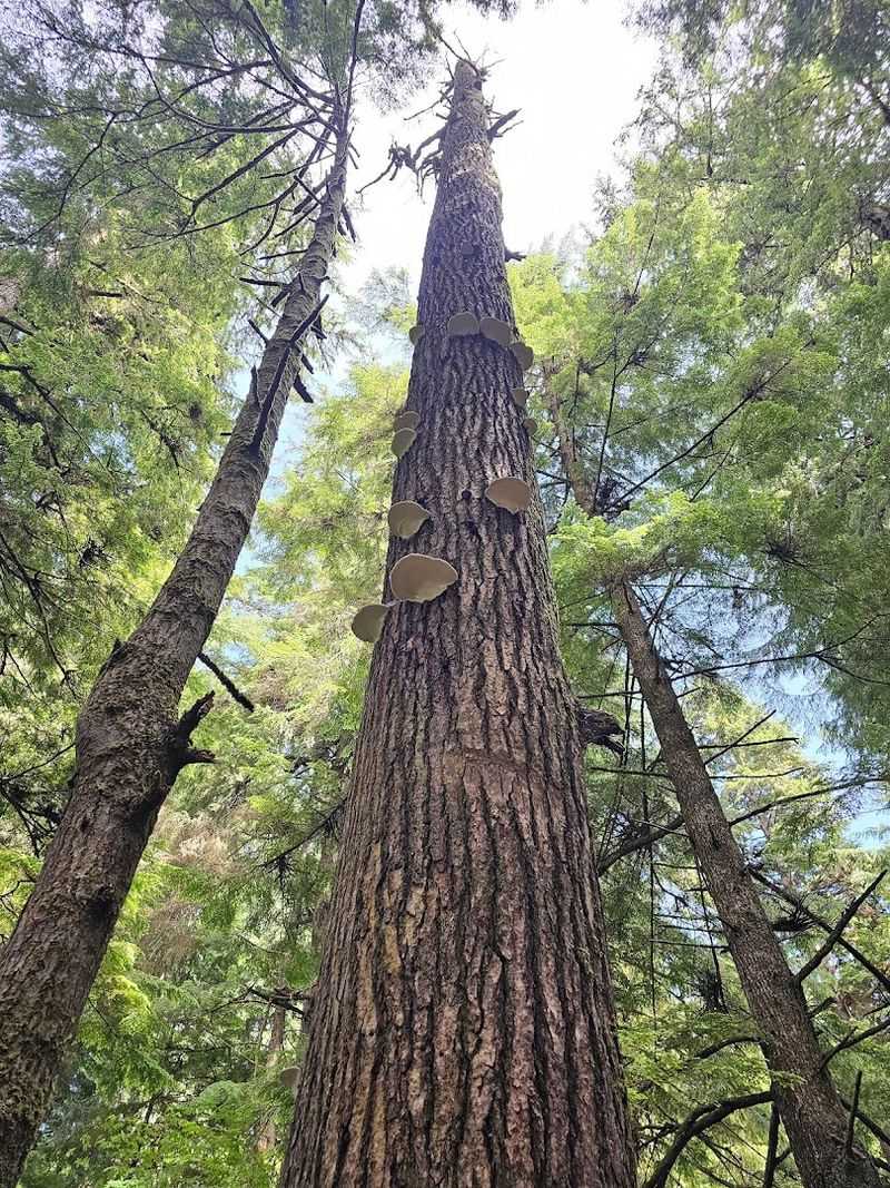 Why This Trail Deserves A Spot On Every Oregon Coast Road Trip