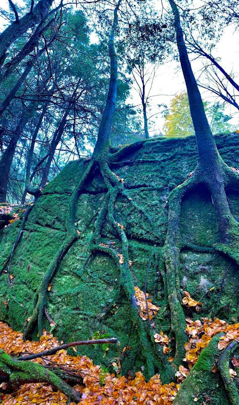 The Atmosphere That Makes This Place Unforgettable