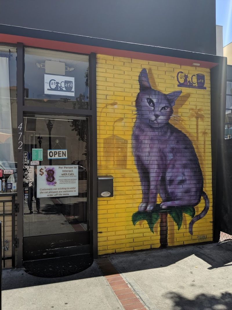 Why This Spot Stands Out In San Diego