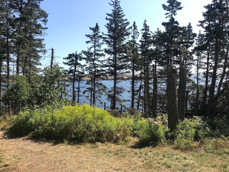 Why Schoodic Point Belongs On Every Maine Coastal Itinerary