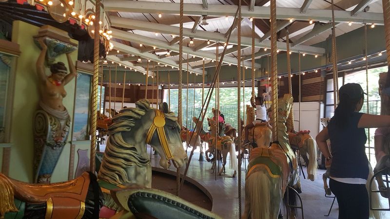 Why This Carousel Still Matters Today