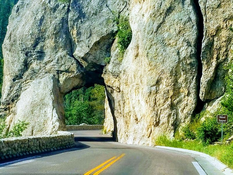 Your Base Camp For Black Hills Adventures