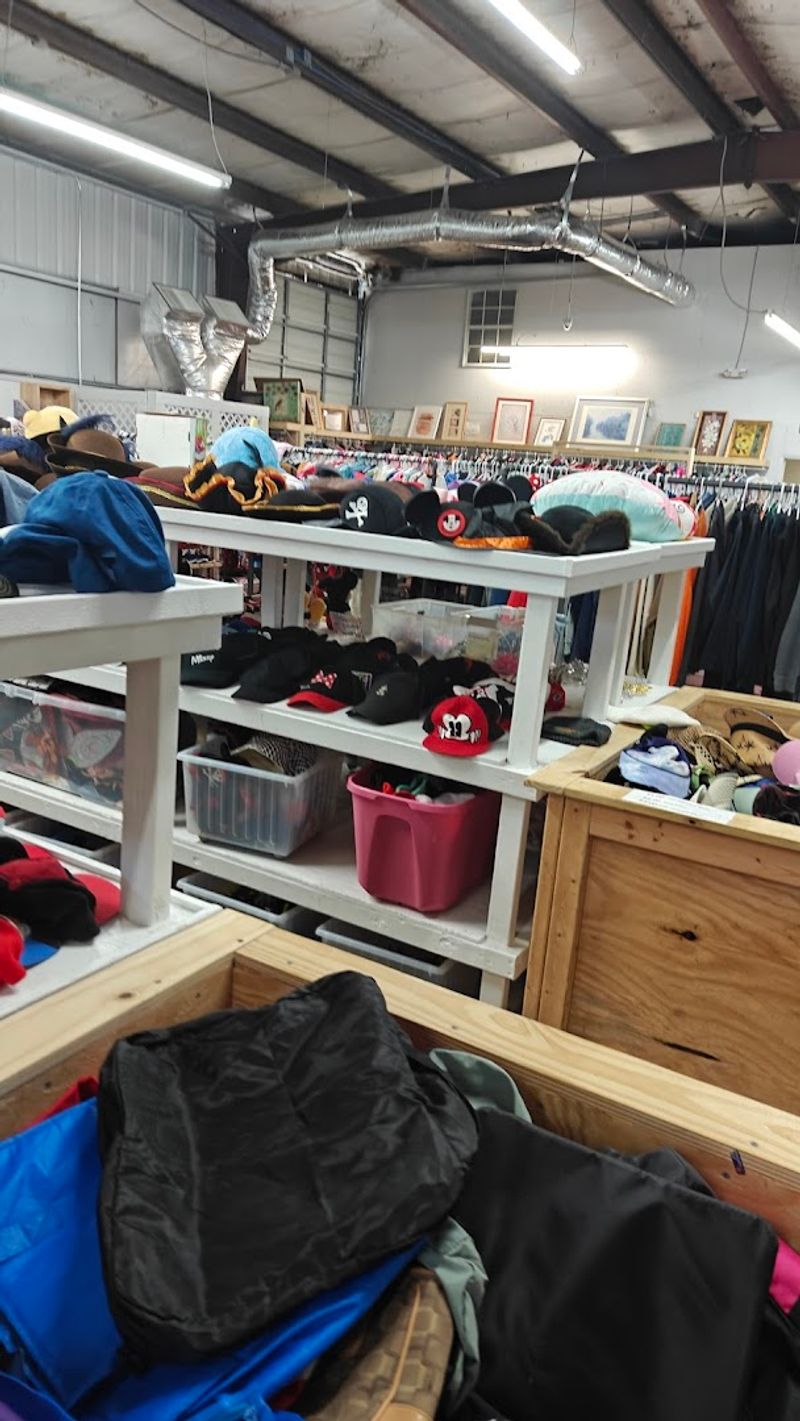 The Art Of Finding Something Unexpected