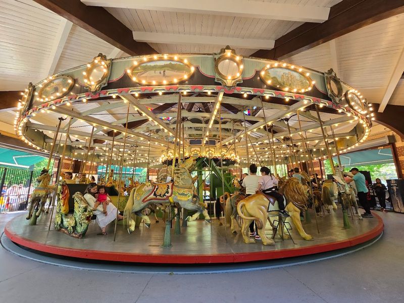 A Ride That Suits Every Age