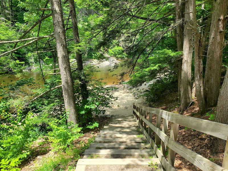 An Unexpected Highlight At The End Of The Trail