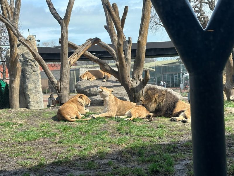 Dining, Shopping, And Practical Visitor Tips