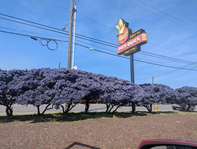 Service With A Pace That Respects Your Time