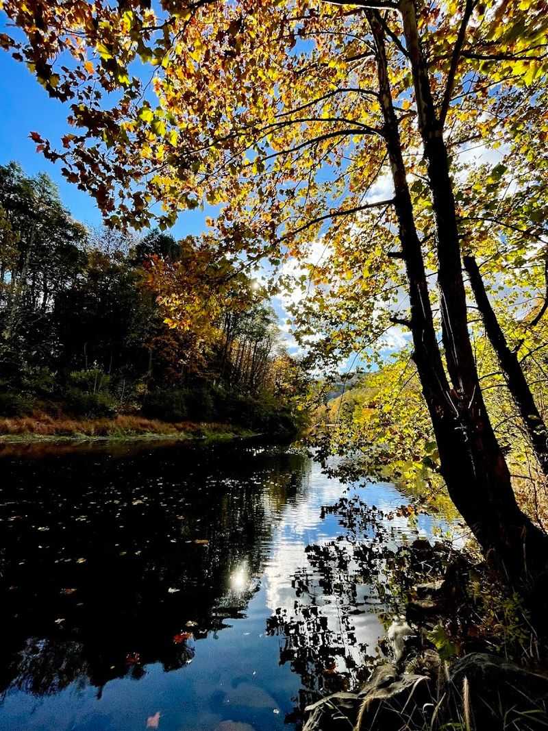 Fishing Here Is Practically A Religious Experience