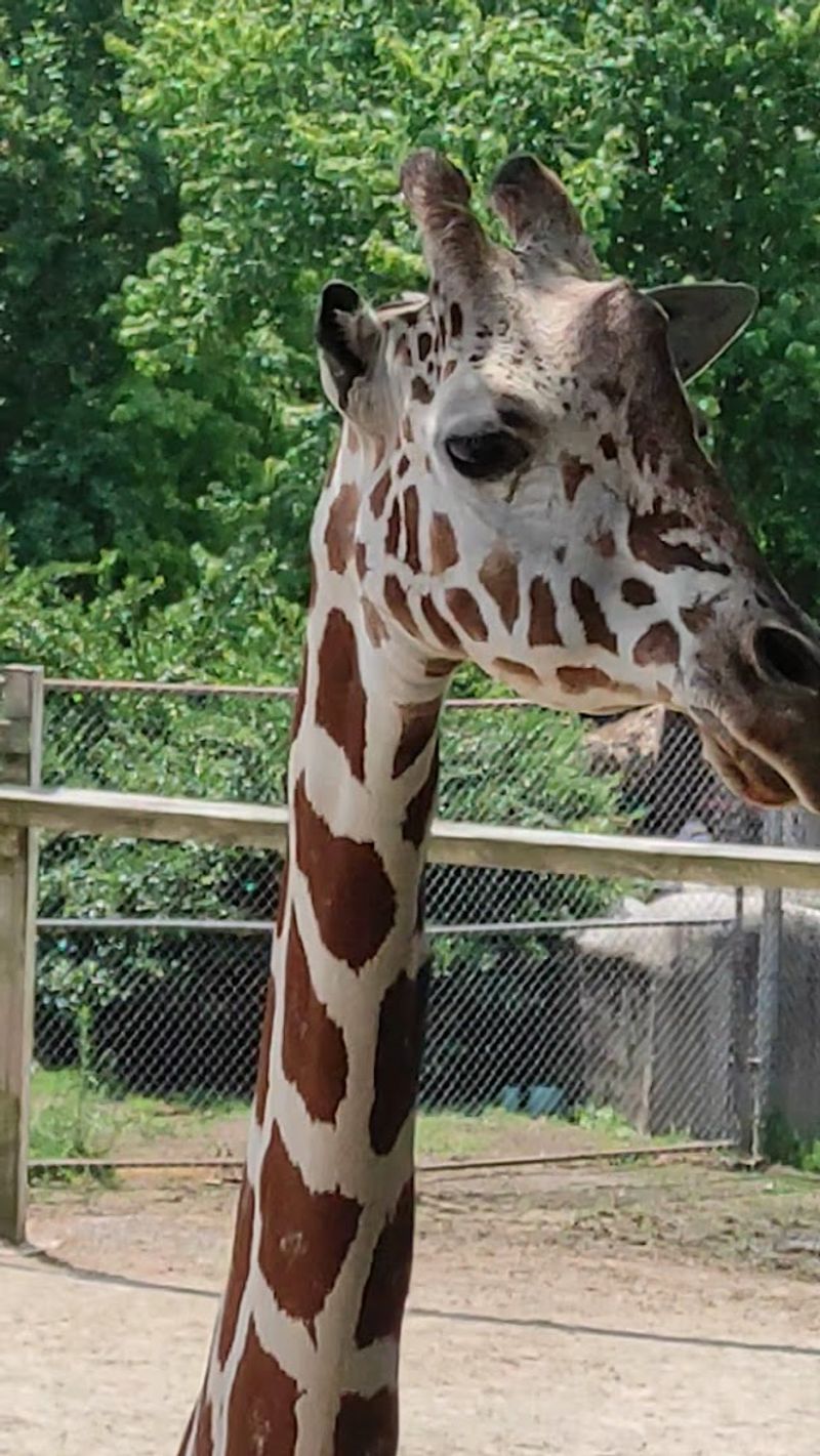 Planning The Perfect Visit To This Virginia Wildlife Destination