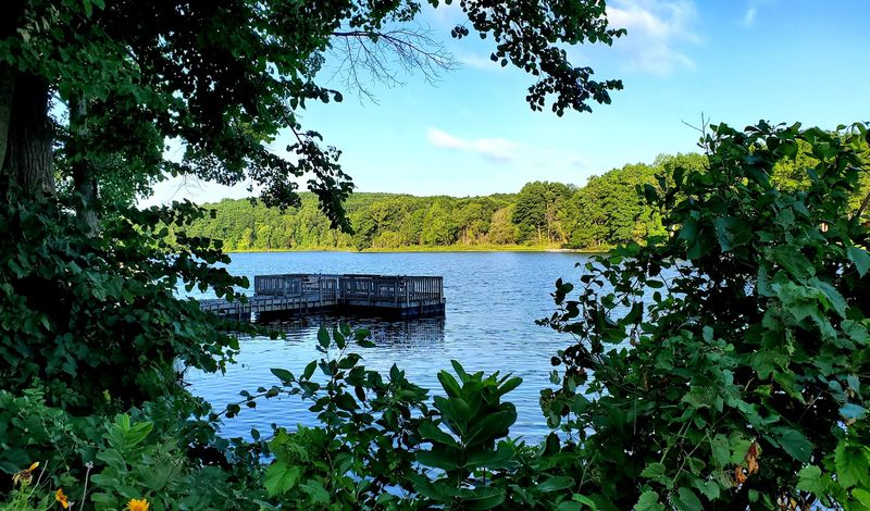 Boardwalks Over Wetlands That Stop You In Your Tracks