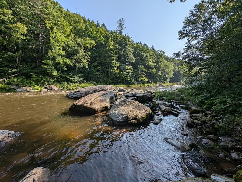 Swimming In The West River