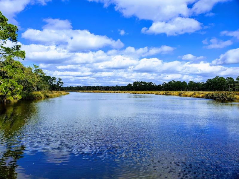 Kayaking And Canoeing On Bulow Creek