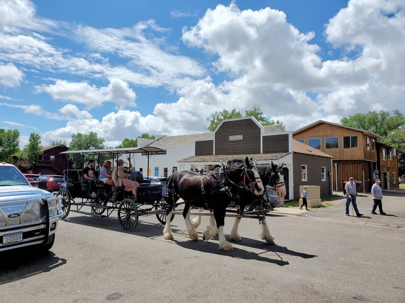 Practical Tips For Planning Your Visit