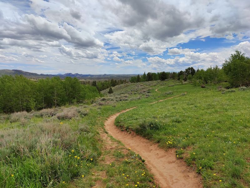 What The Surrounding Landscape Actually Looks Like