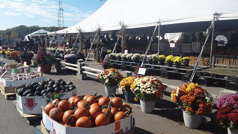 The Outdoor Vendor Experience