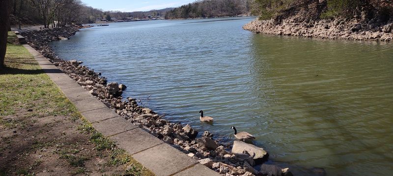 Wildlife And The Quiet Things You Notice On The Trail