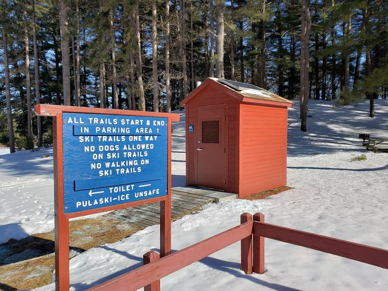 Wildlife Watching That Keeps You Looking Up And Down