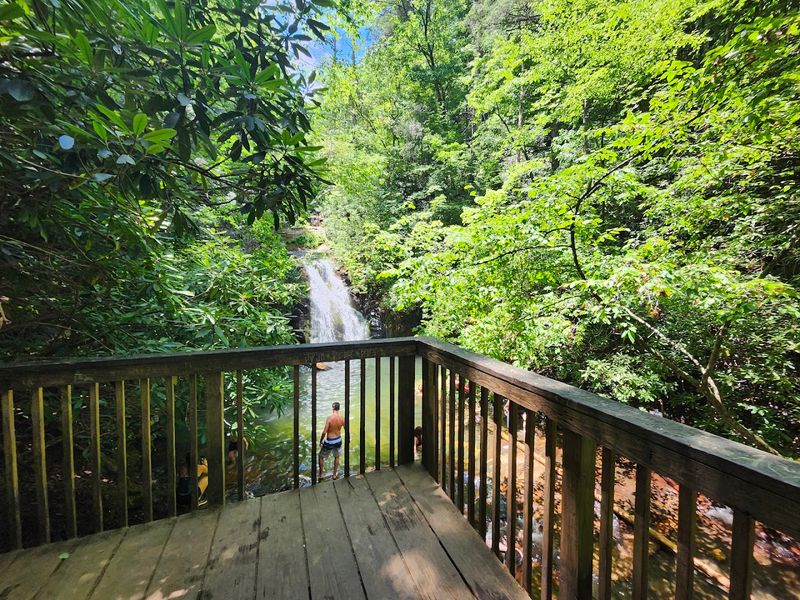 What Every Visitor Should Know