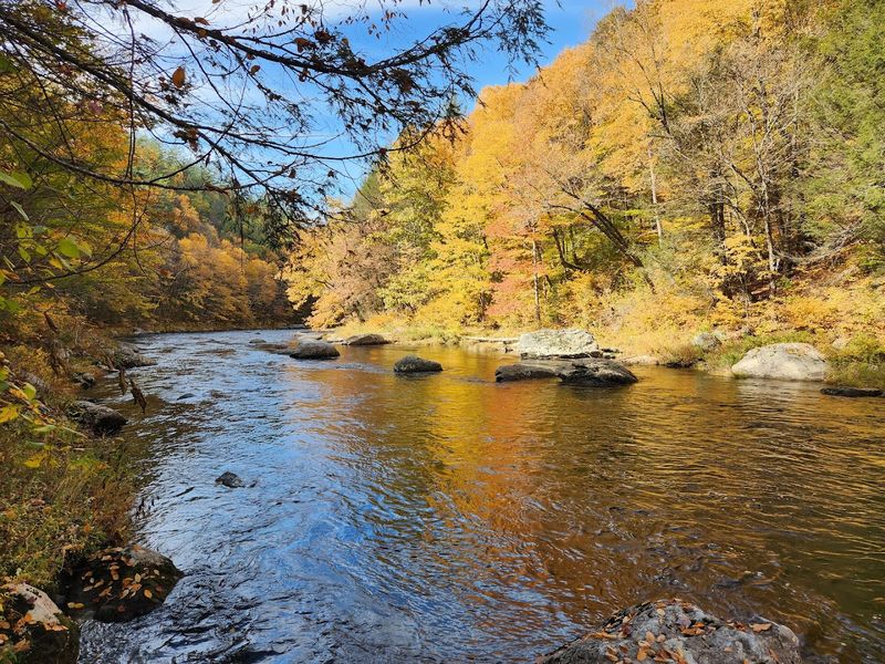 Quiet Hours And Patient Rewards