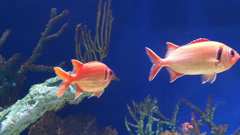 Five Galleries, Five Completely Different Worlds