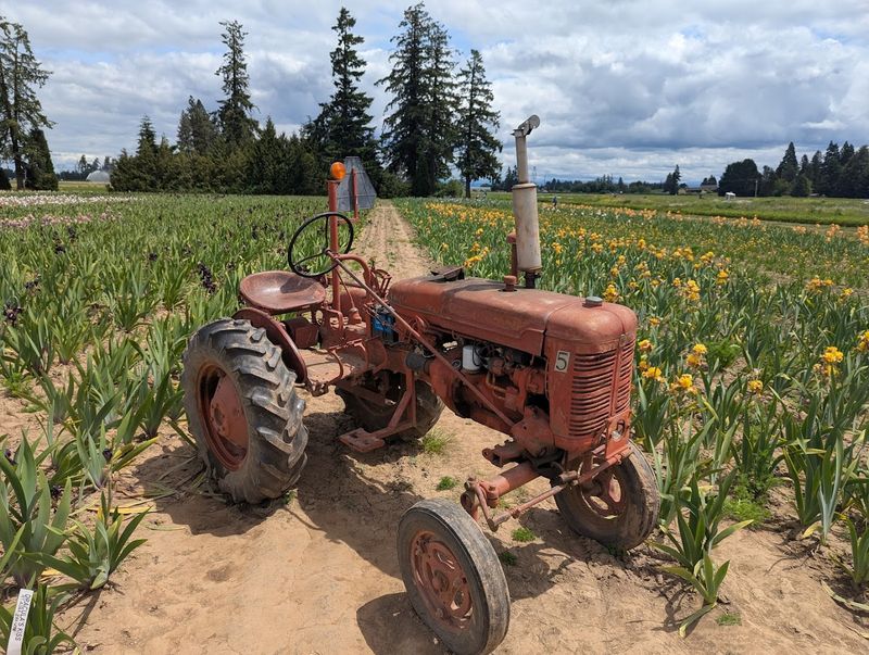 Practical Tips For A Perfect Day