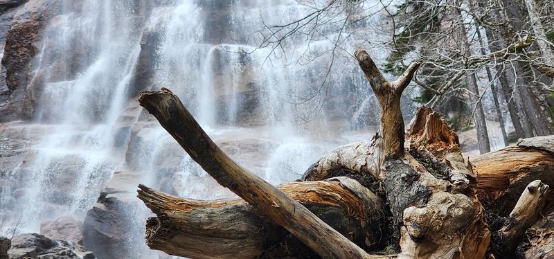 Bemis Brook Cascades Keep The Magic Going
