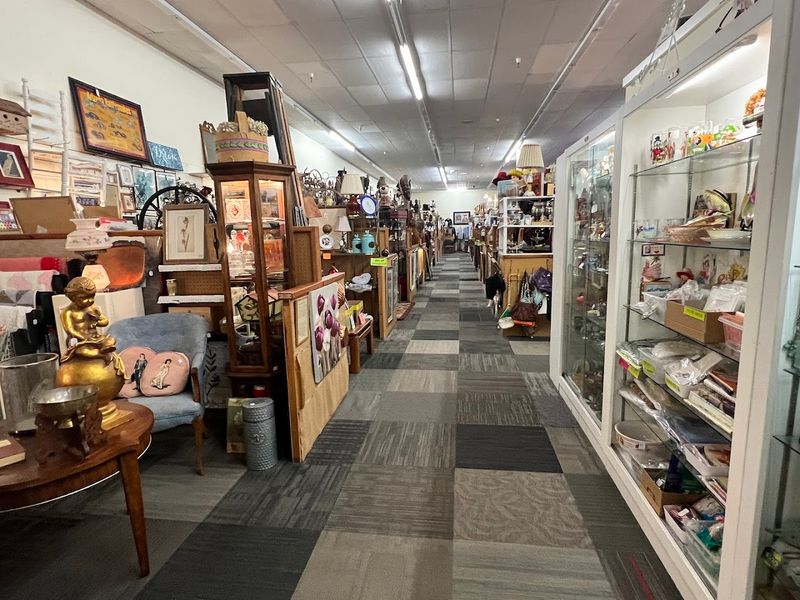 More Than 230 Dealers Under One Roof